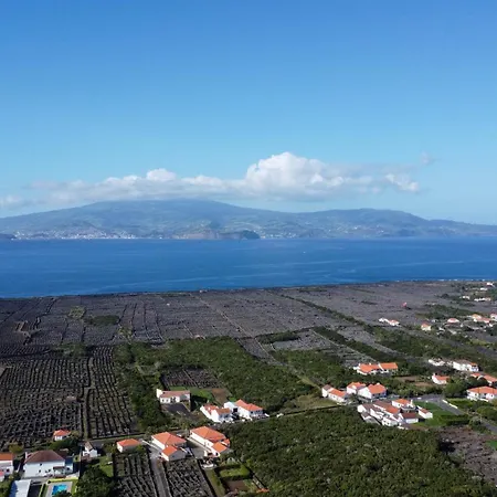 Al Novavista By A5p 3*