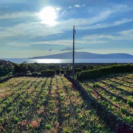 Al Novavista By A5p 3*