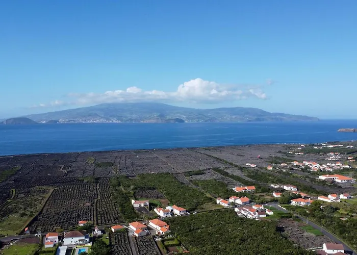 Al Novavista By A5p 3*